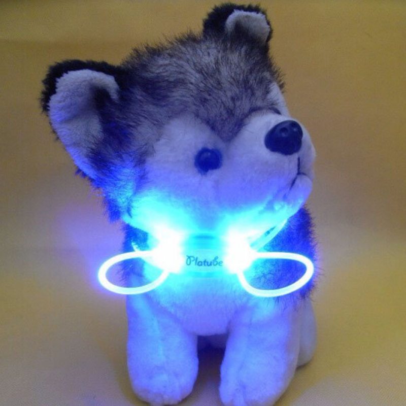 Pes Led Nastaviteľný Personalizovaný Obojok Polyester Pet Light-up Blikajúce Žiarenie Bezpečnosť