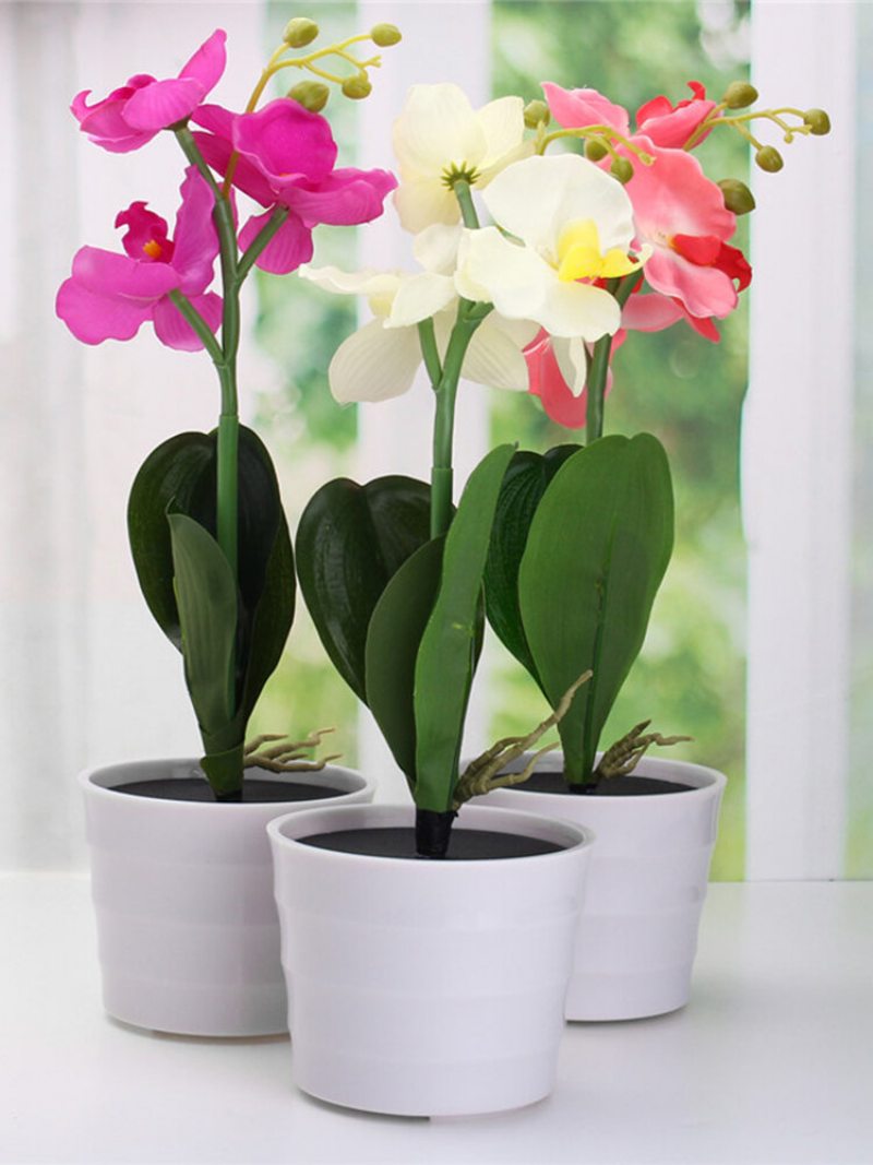 3led Solárne Napájaný Phalaenopsis Kvetinový Kolík Záhradný Dvor Svetlá Krajina Vonkajšia Dekorácia